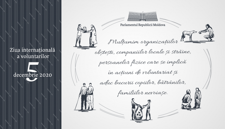 Voluntar-Parl